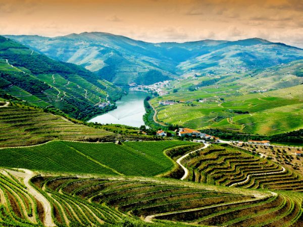 douro valley wine tour wonderful river with wineries and terraces