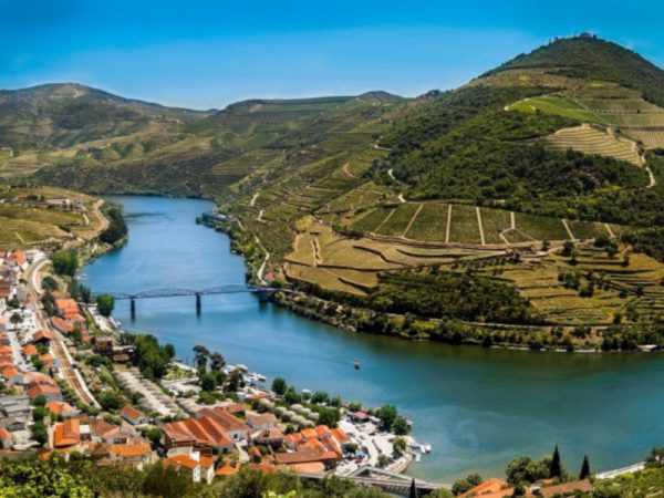 Douro Premium Tour