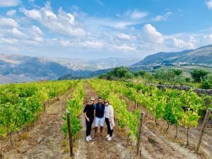 vineyards in douro