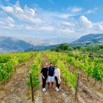 douro valley wine tour vineyards in douro