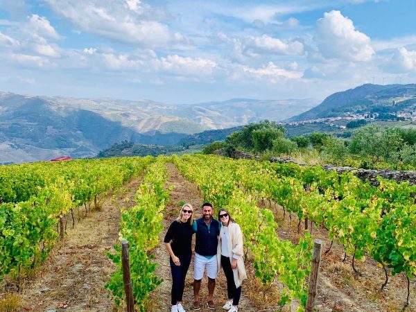 douro valley wine tour vineyards in douro