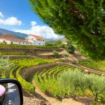 douro valley wine tour terraces