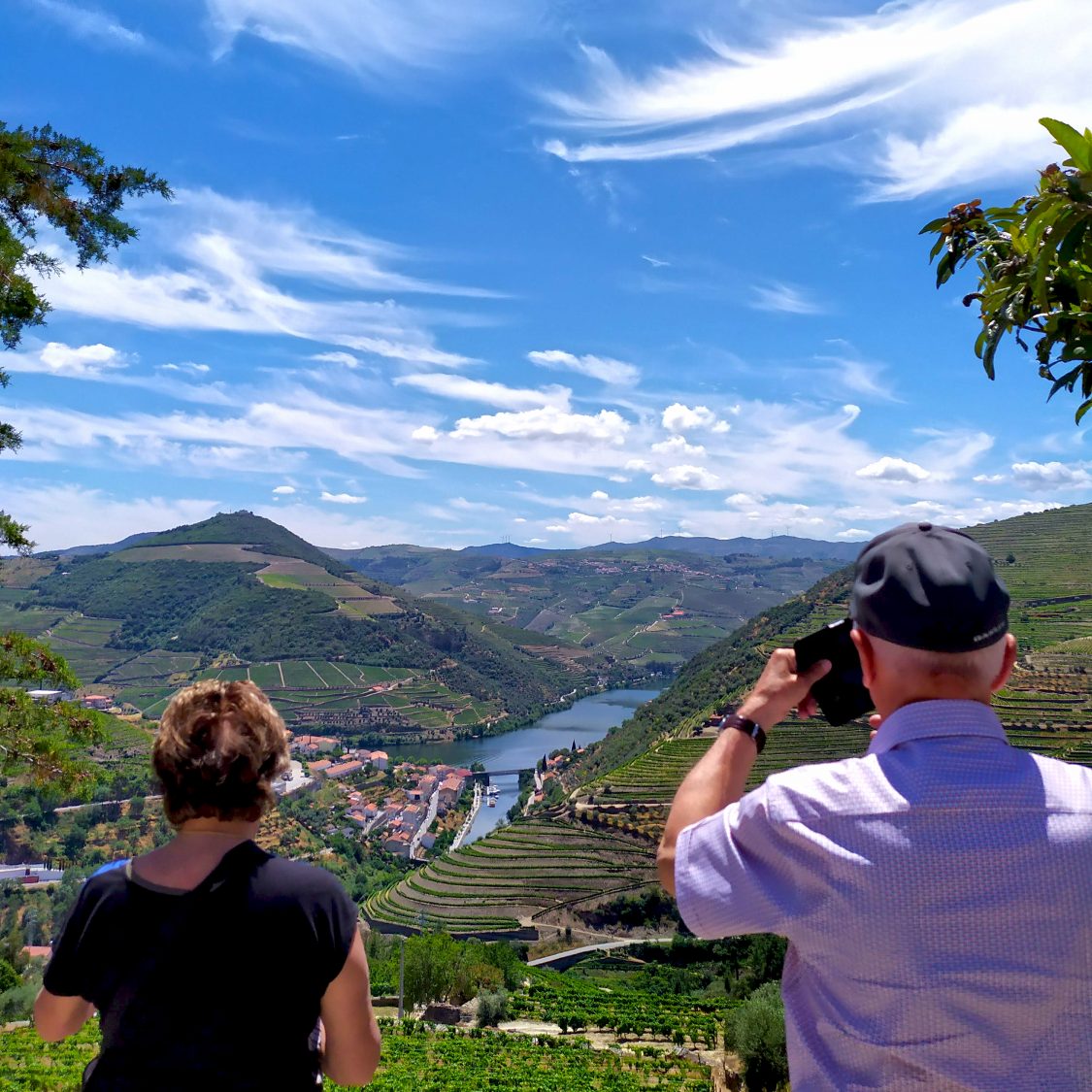 Douro Valley Wine Tour Wine Venture and Boat Trip BL Heritage Tours