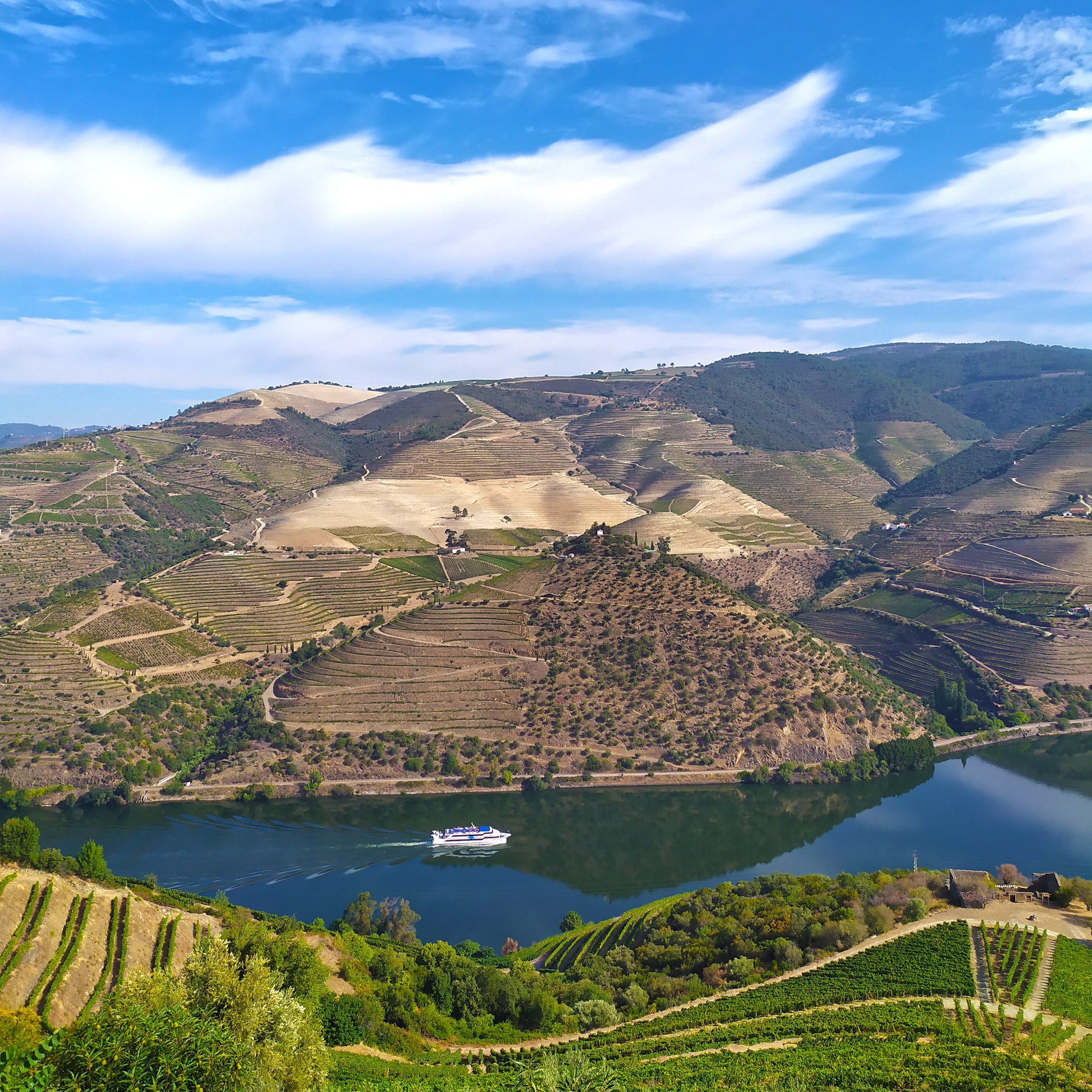 douro valley wine tour reddit