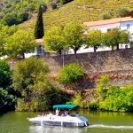 private and intimate boat trip in douro valley