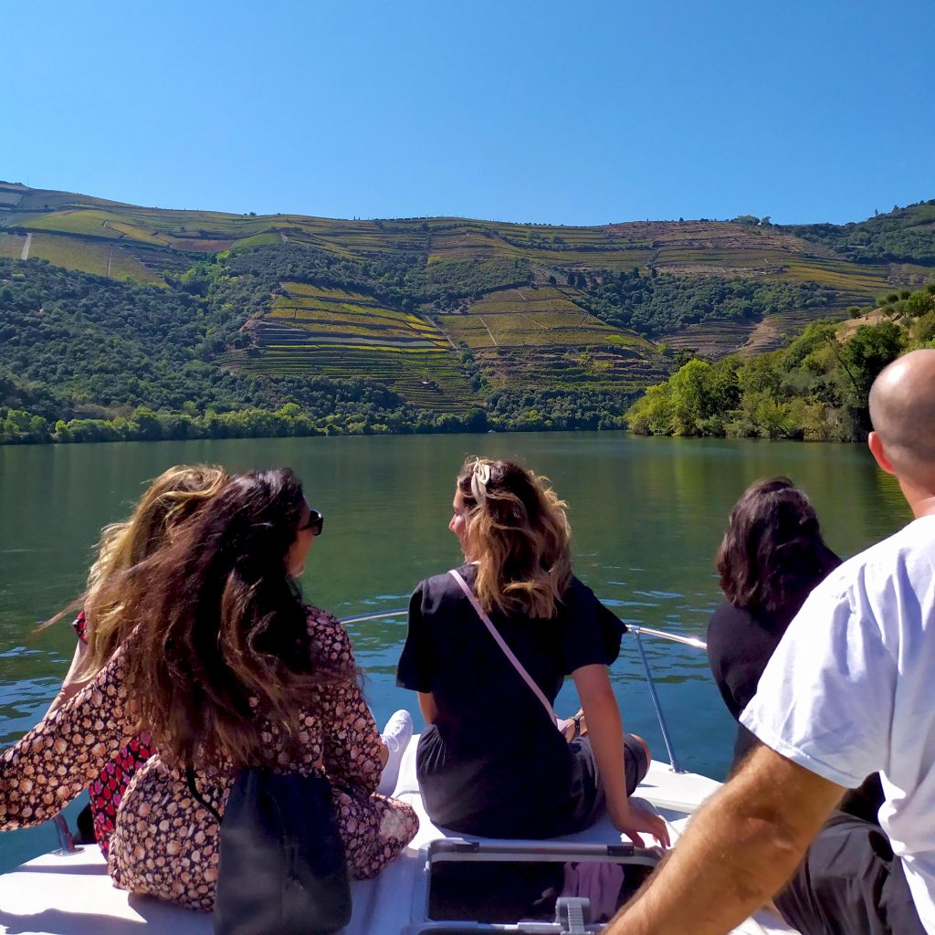airbnb douro valley wine tour