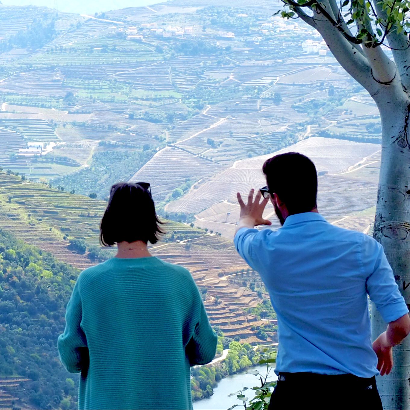 bl heritage tours guides - douro valley wine tour