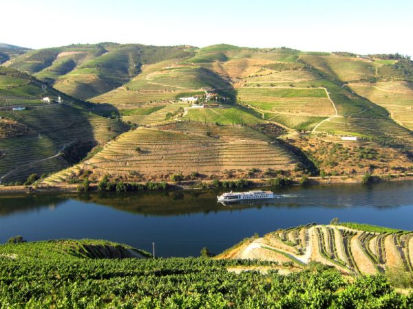 The Douro Valley